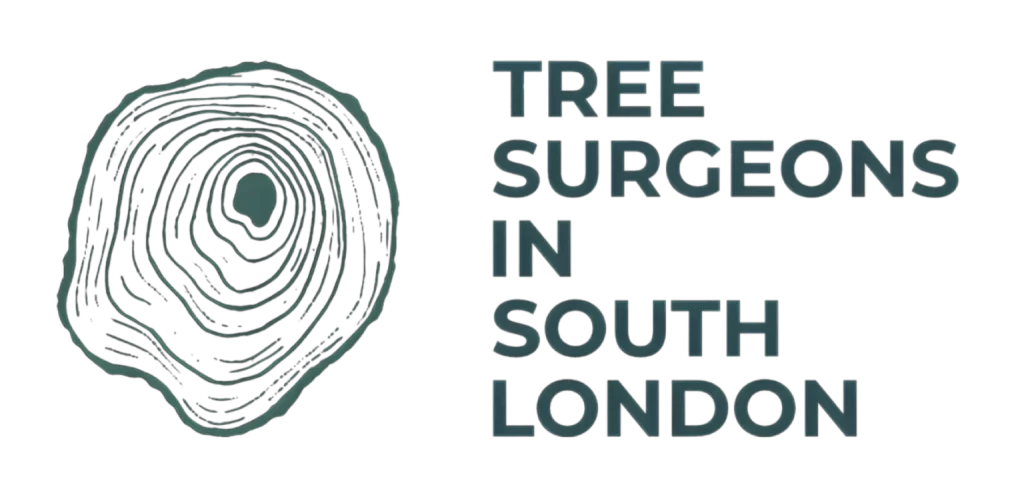 Tree Surgeons in South London