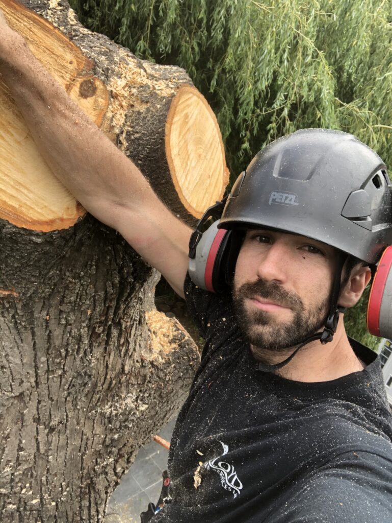 Expert Tree Surgeons