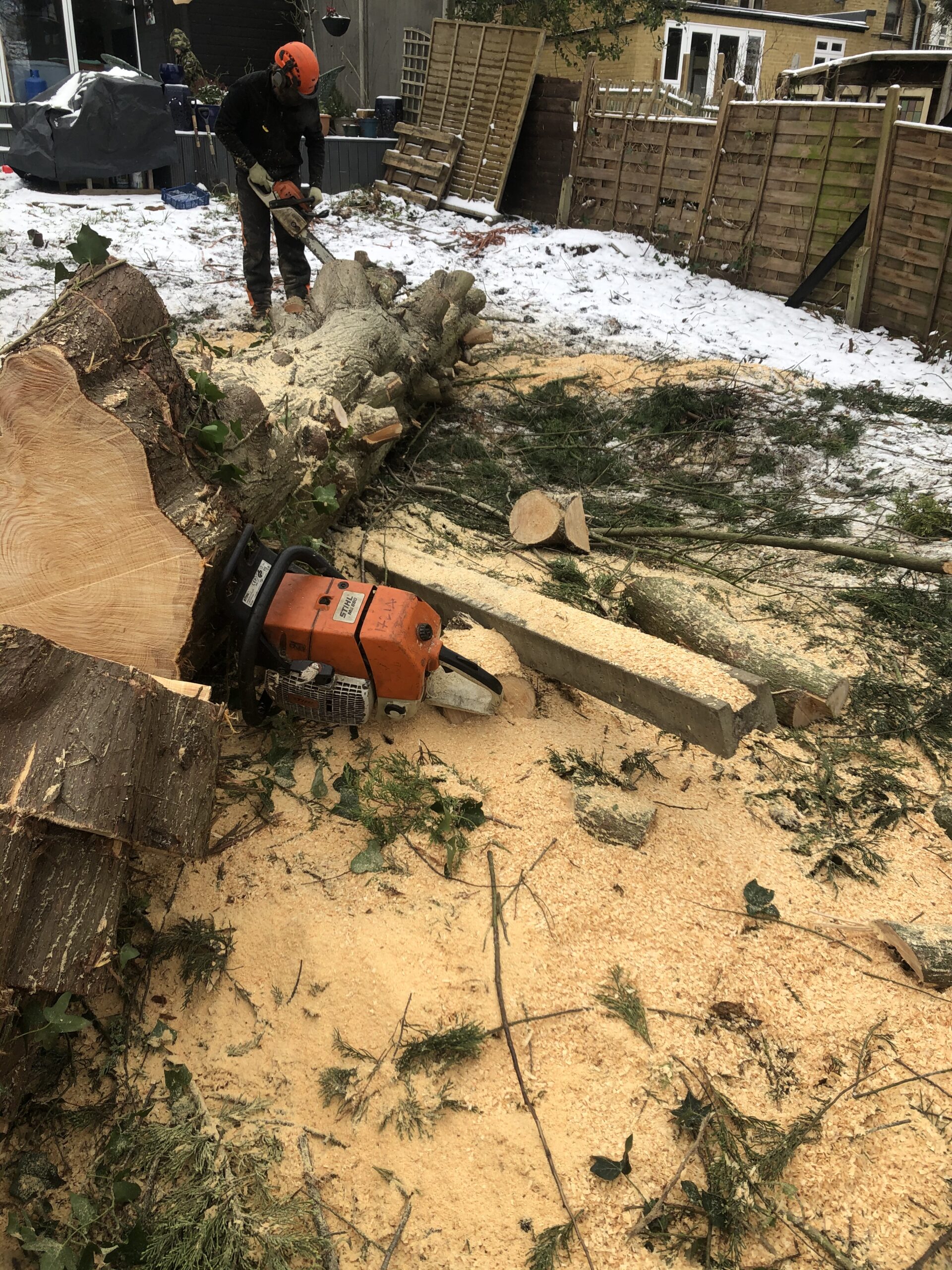 Tree Removal London