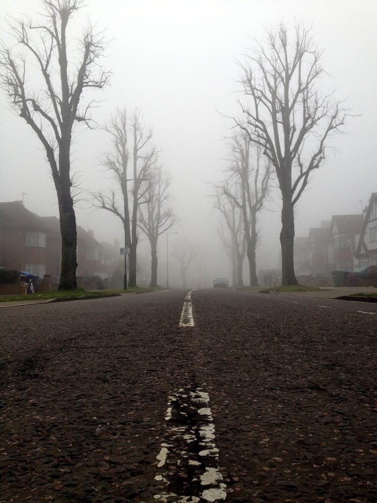 Tree Surgeons in South London Limited manage Lewisham and Greenwich Trees