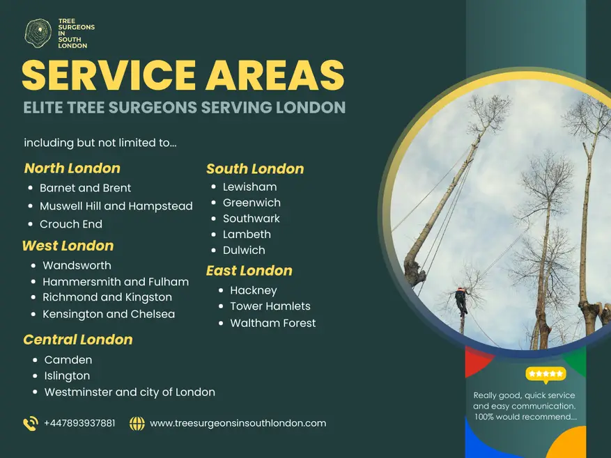 Tree surgeons north london: Tree Surgeons in South London Ltd. expanding their service areas