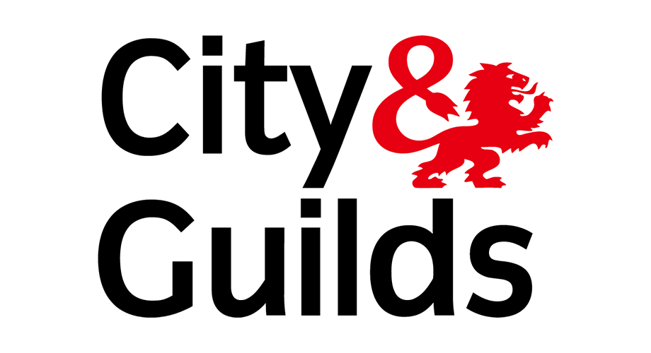 Tree Surgeons in South London limited are City and Guilds accredited