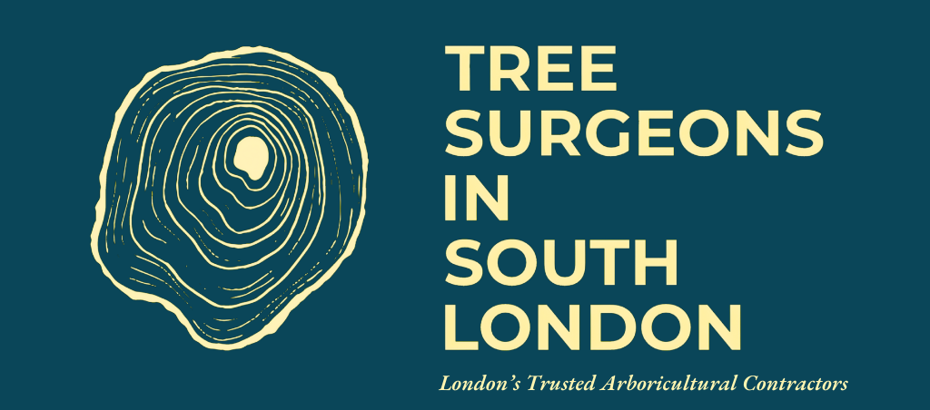Tree surgeons in South London Limited logo