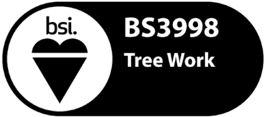 Our arborists work according to British Standards: BS3998