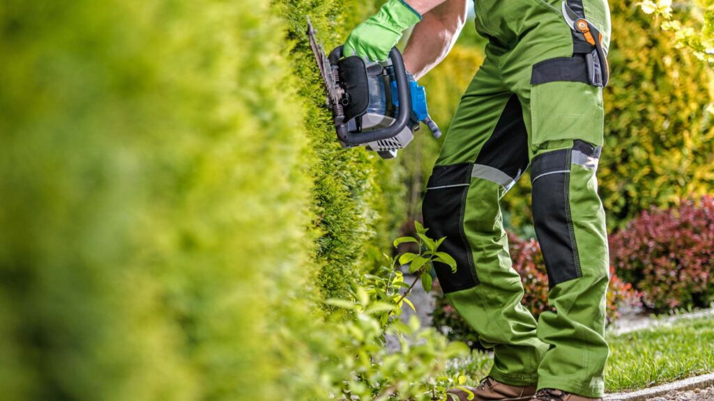 Hedge Trimming South London