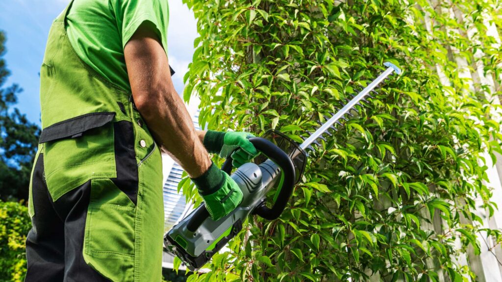 Hedge Trimming South London