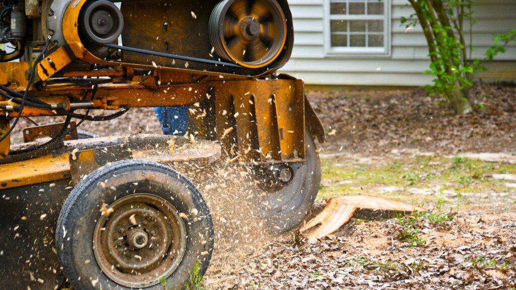 Stump Grinding South London