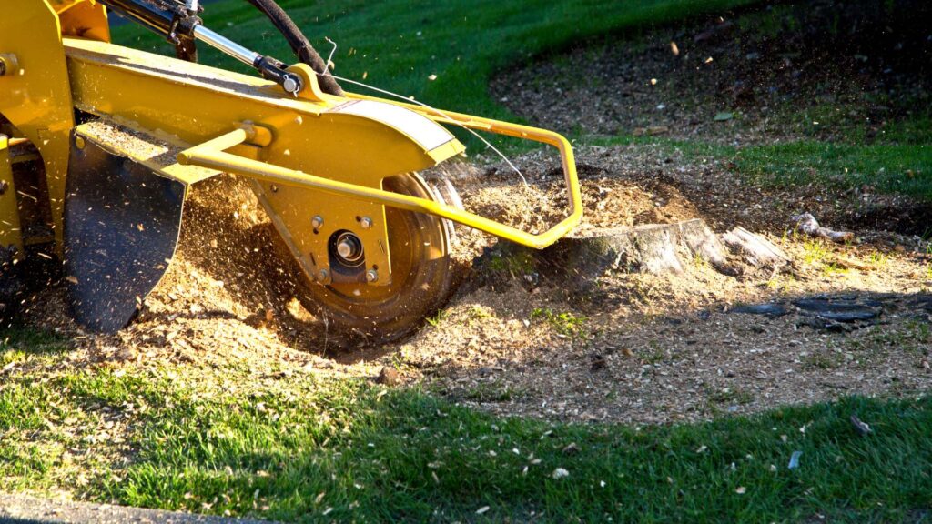 Stump Grinding South London