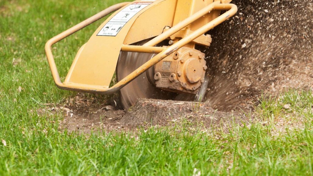 Stump Grinding South London